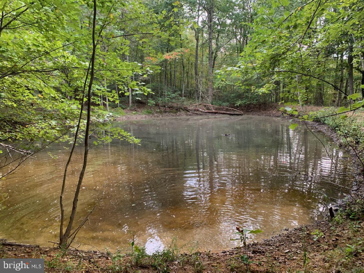 9396 Mountjoy Road Marshall, VA 20115 - Photo 43 of 45 Pond