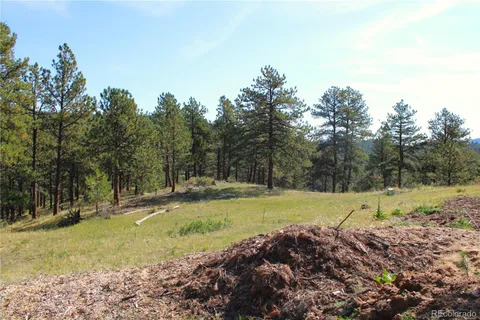 a view of a backyard with large trees
