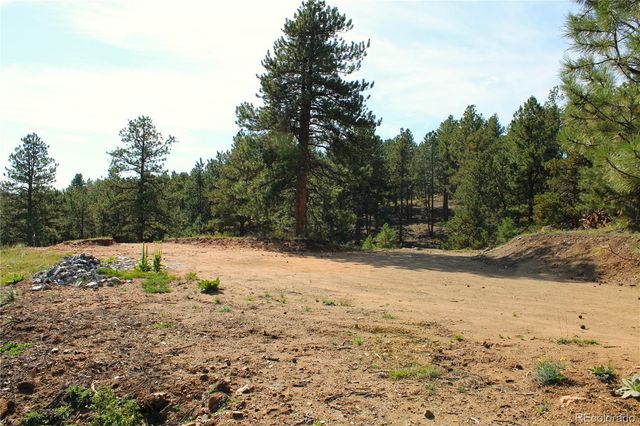 a view of dirt yard with a large tree