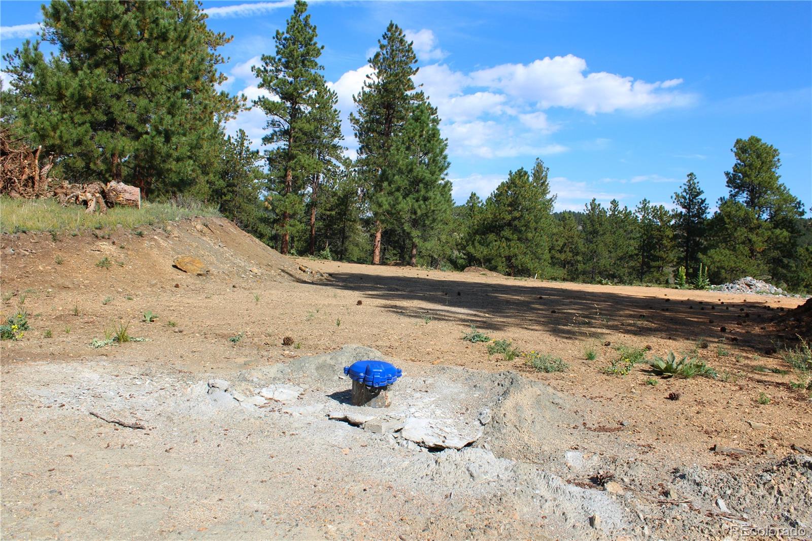 2414 Legacy Ranch Road Evergreen, CO 80439 - Photo 5 of 16 a view of a dry yard with trees