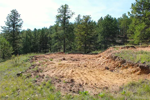 a view of a yard covered in snow