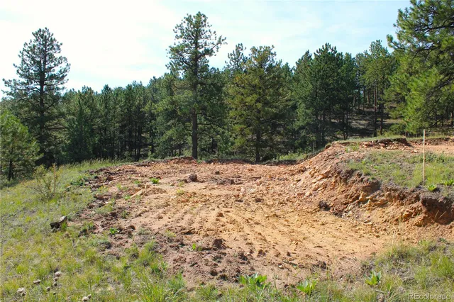 a view of a yard covered in snow