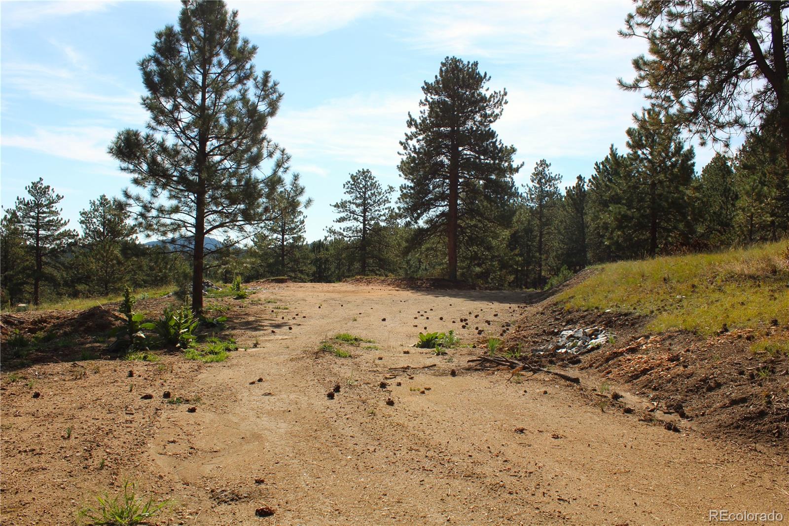 2414 Legacy Ranch Road Evergreen, CO 80439 - Photo 8 of 16 a view of a yard covered in snow