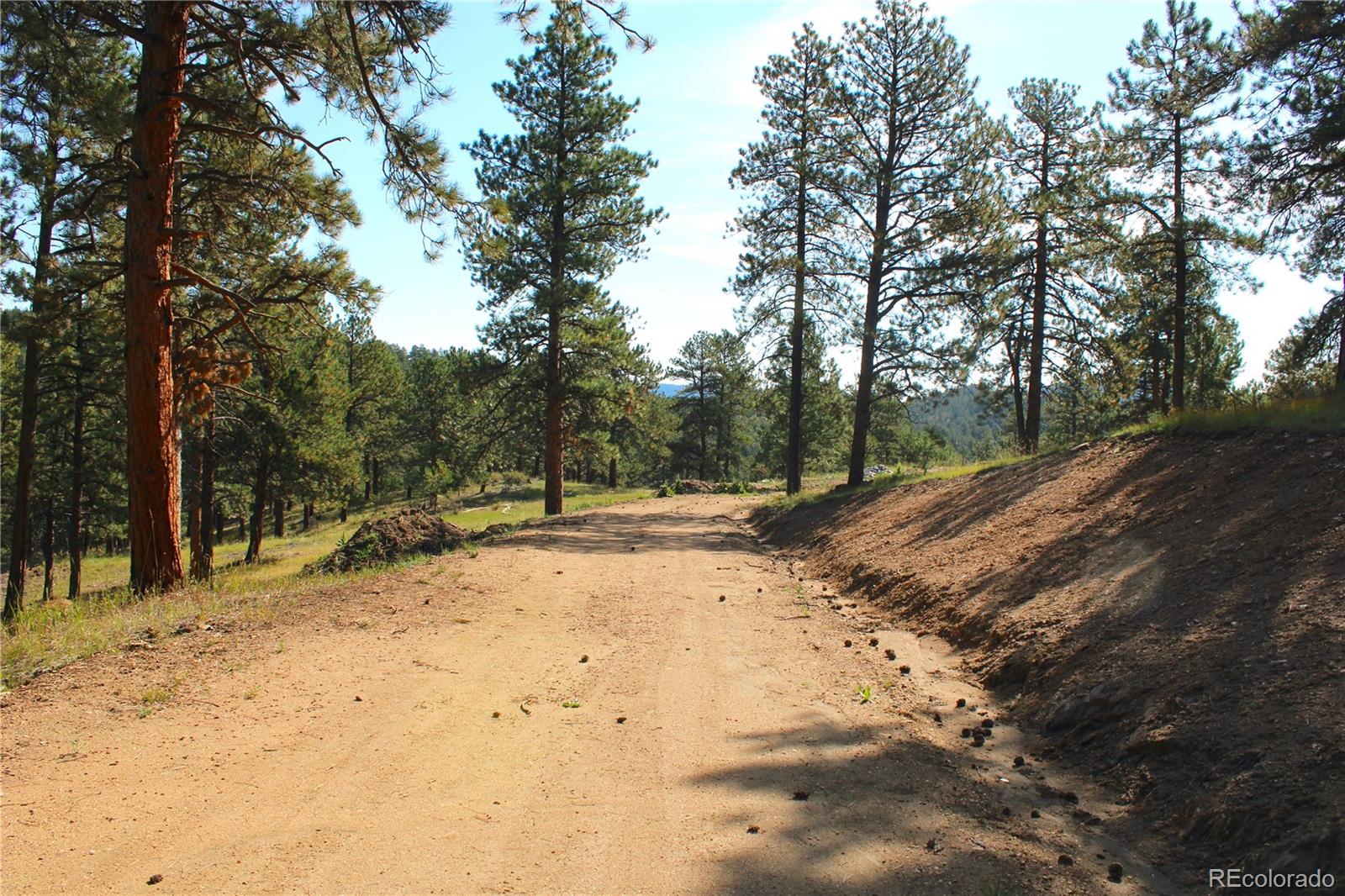 2414 Legacy Ranch Road Evergreen, CO 80439 - Photo 9 of 16 a view of a yard with trees