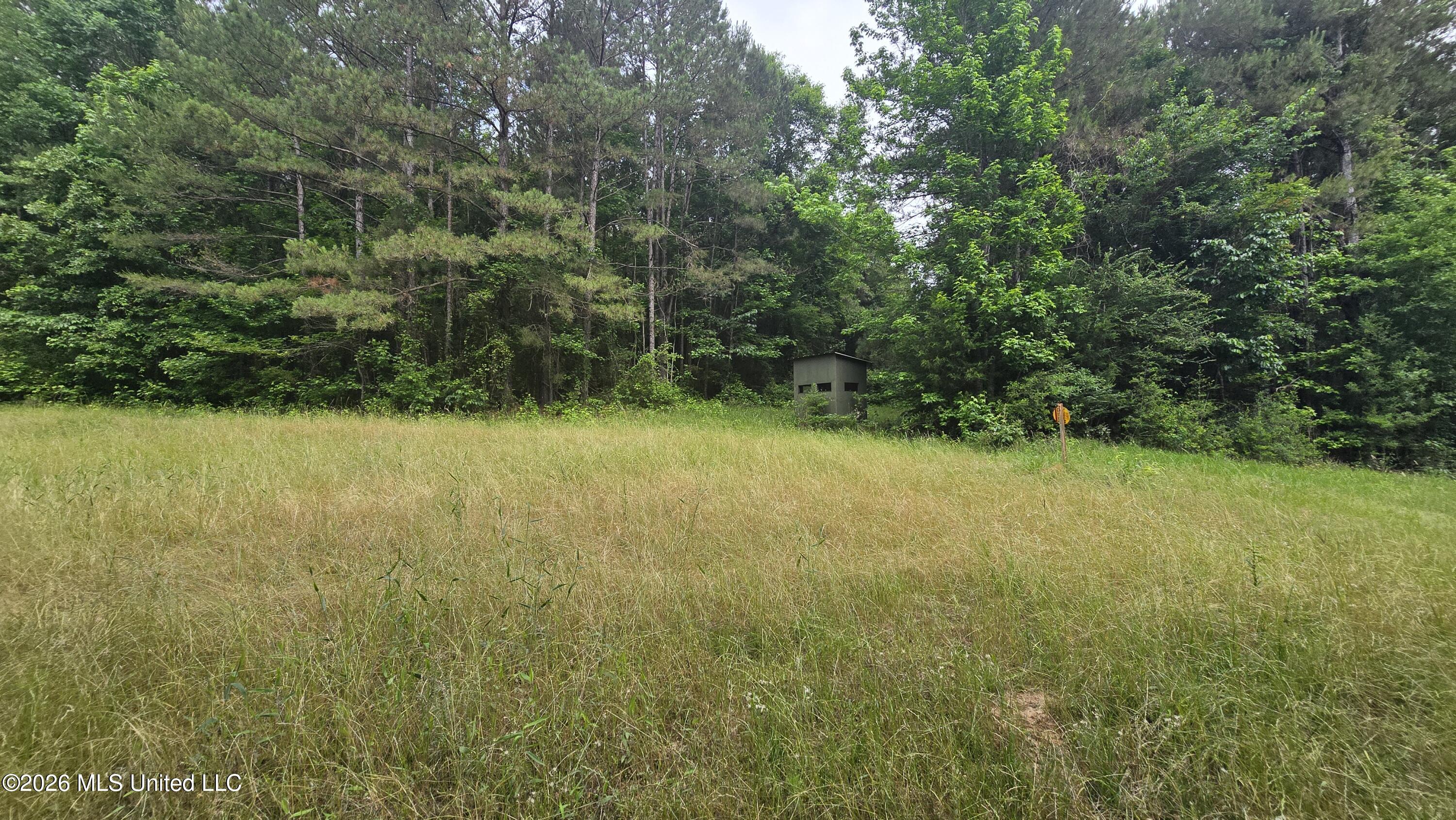 189 Co Road Bay Springs, MS 39422 - Photo 19 of 61 20260513_104553