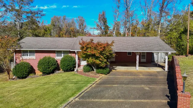 a aerial view of a house with a yard and potted plants