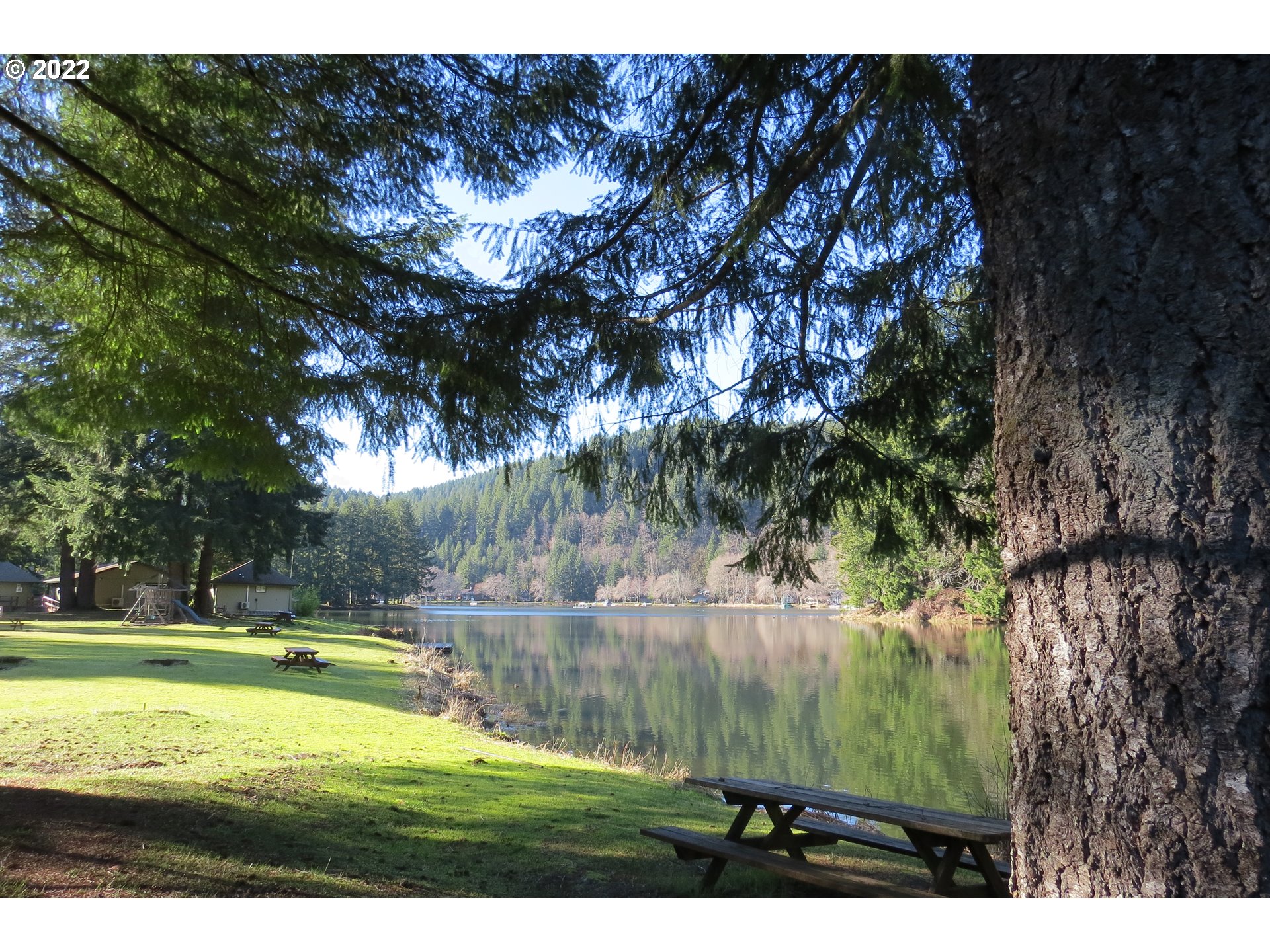 71403 Fishhawk Road Birkenfeld, OR 97016 - Photo 26 of 31 a view of a lake view