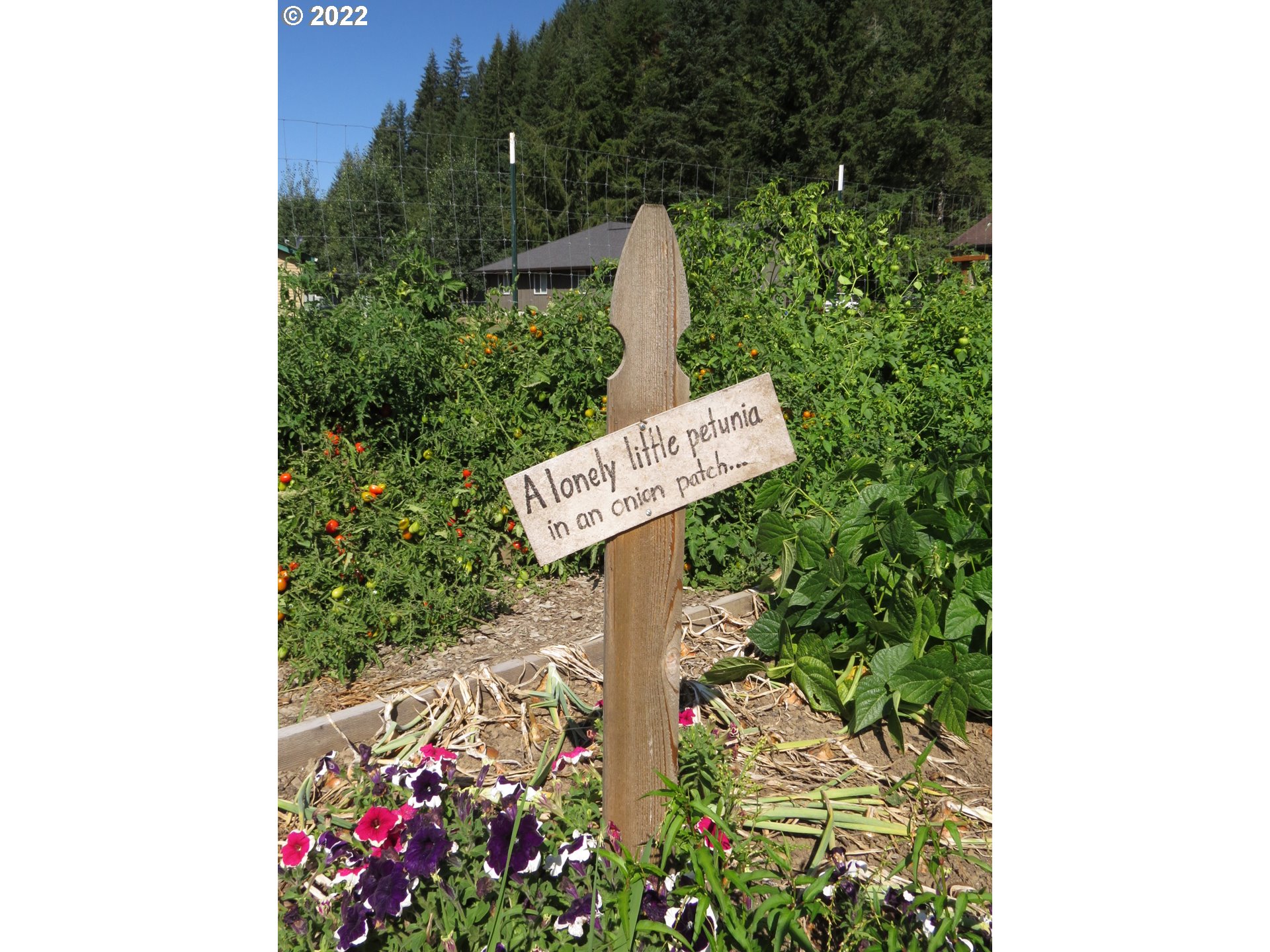 71403 Fishhawk Road Birkenfeld, OR 97016 - Photo 27 of 31 a street sign that is on a pole