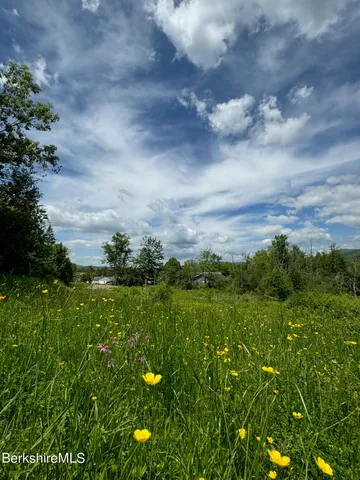 a view of a bunch of trees