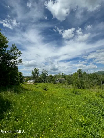 a view of a field of grass and trees