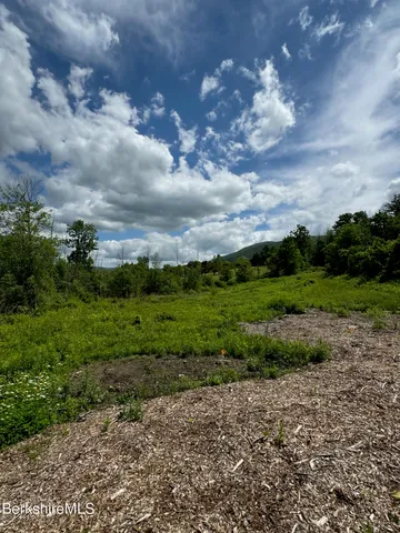 a view of a pathway both side of yard