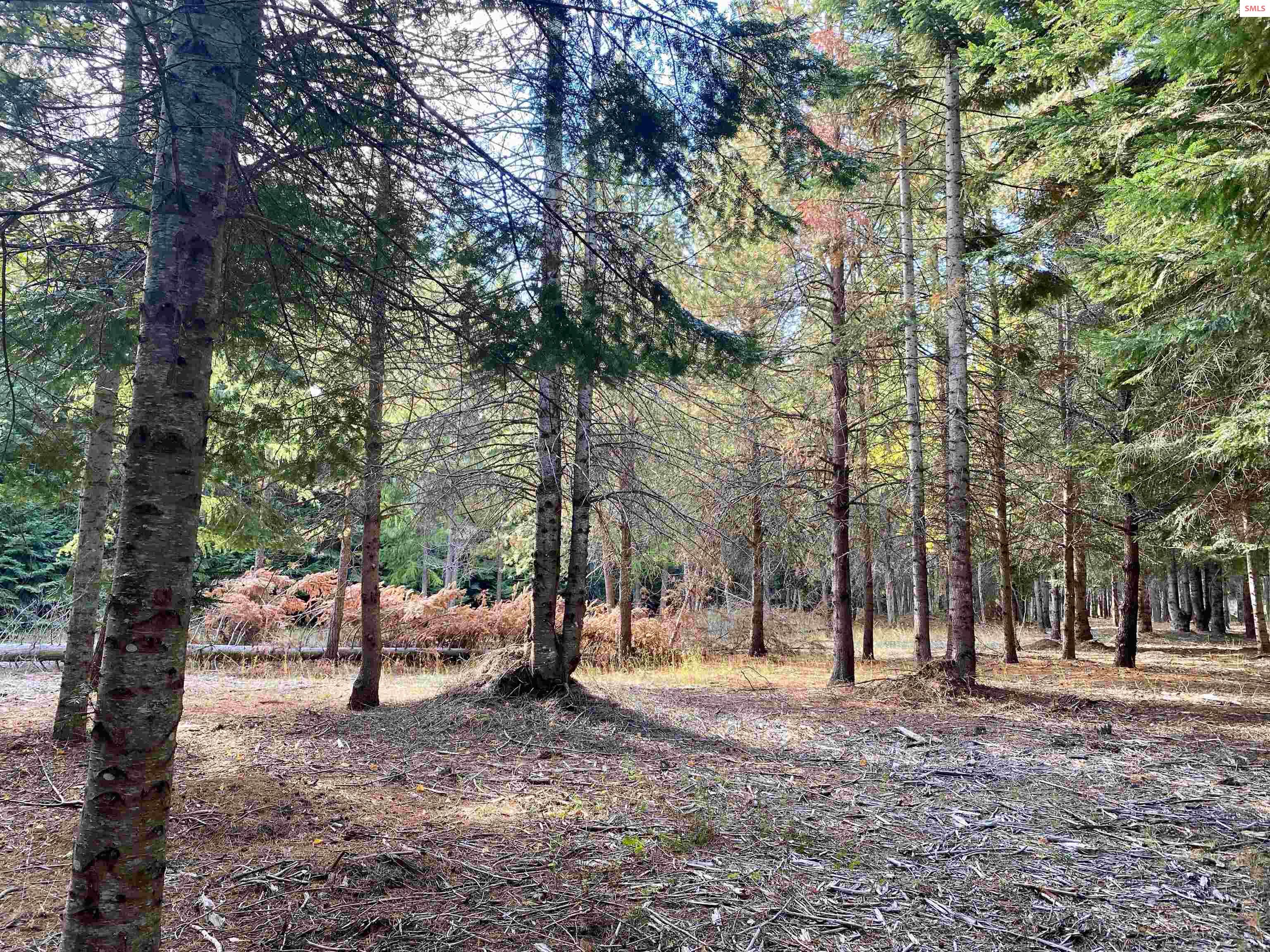 Nna Cougar Road Naples, ID 83847 - Photo 29 of 43 Gallery Image 29