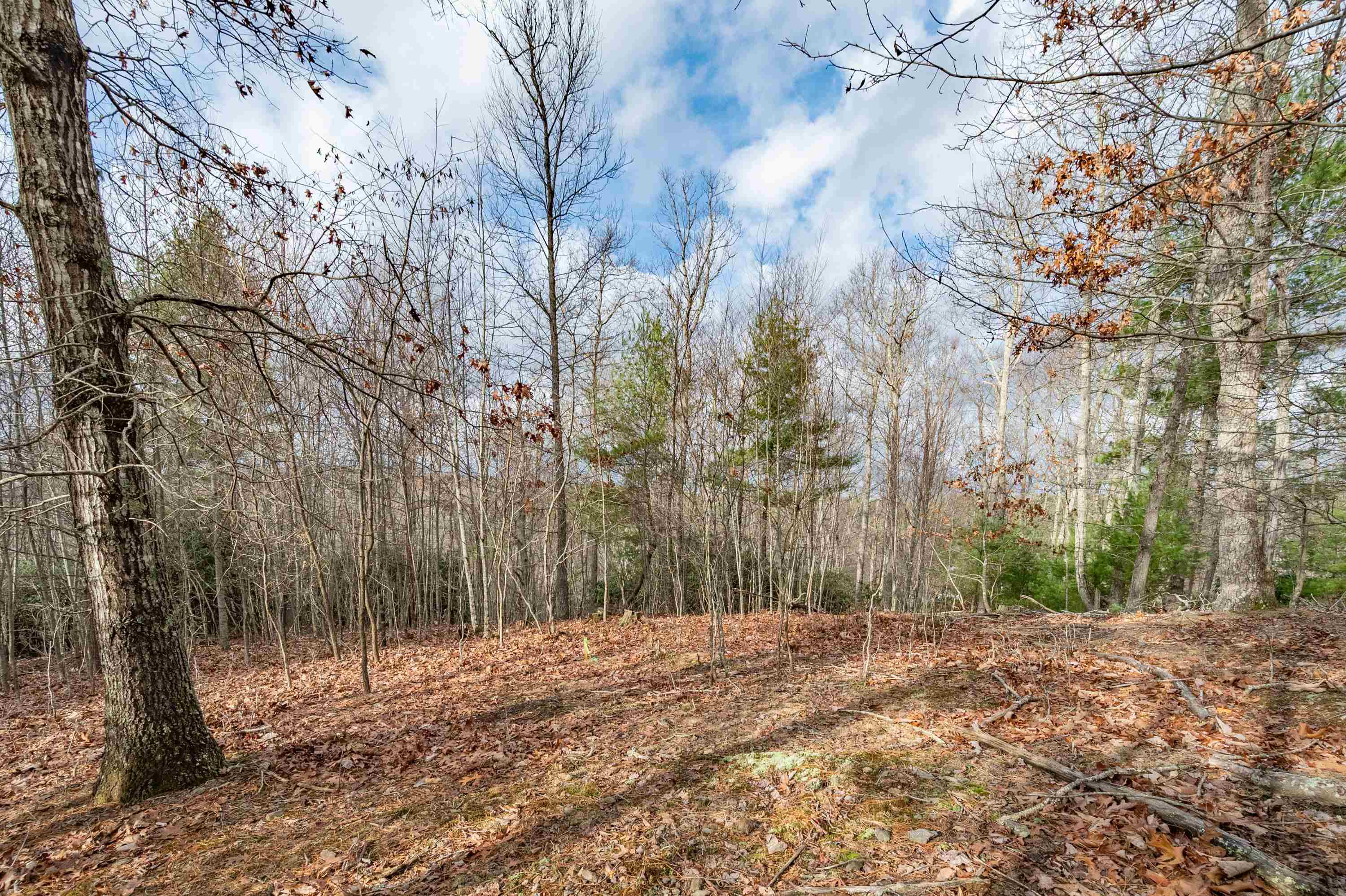 Tbd Spangler Mill Road Northeast Floyd, VA 24091 - Photo 15 of 44 Gallery Image 15