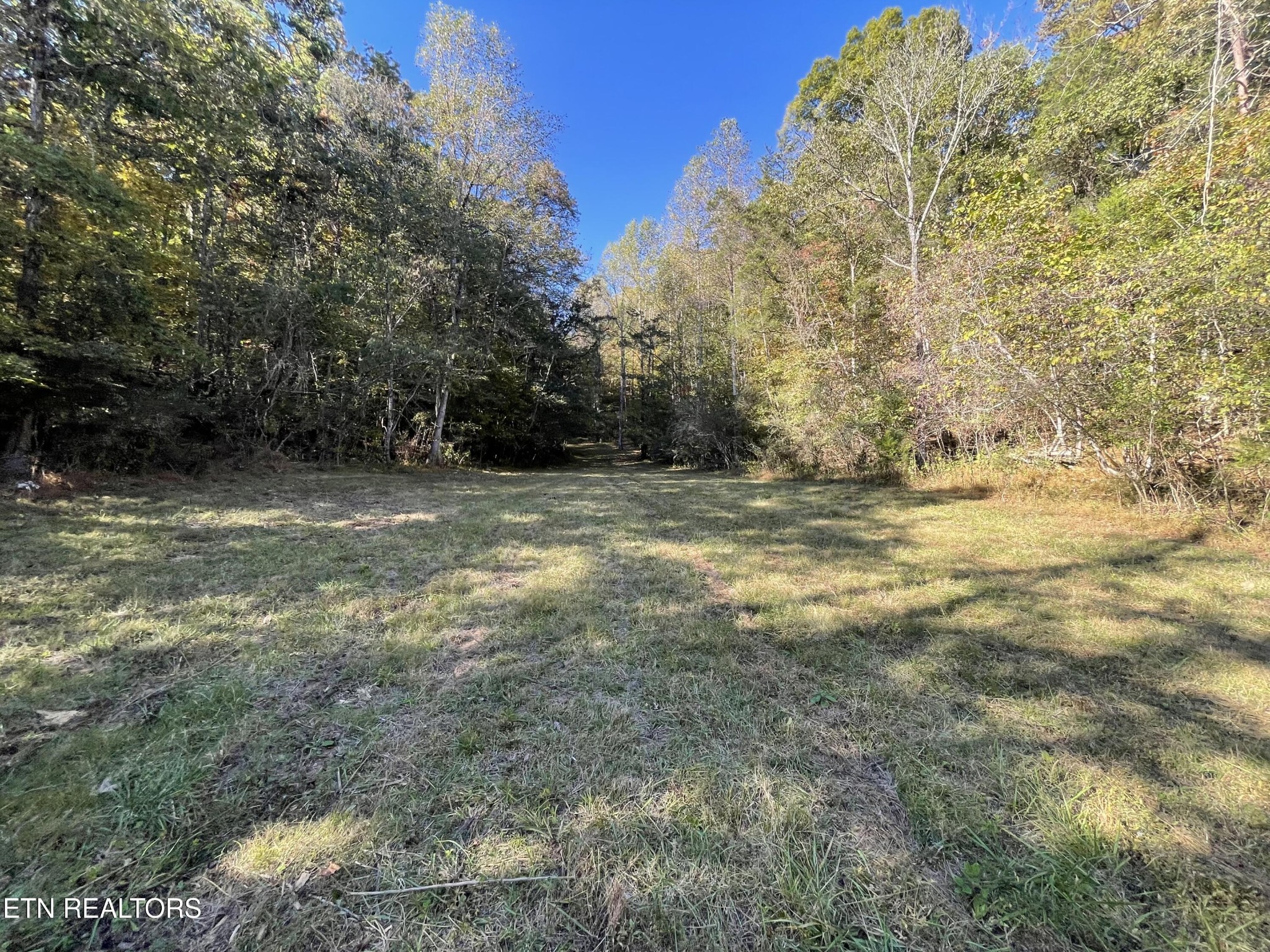 100 French Road Knoxville, TN 37920 - Photo 18 of 51 Gallery Image 18