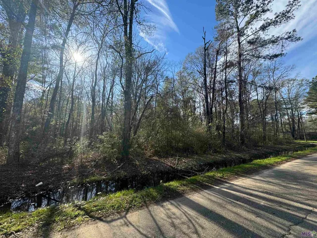 $55,000 | Lot 5 Joe Lee Road, Walker, LA 70785