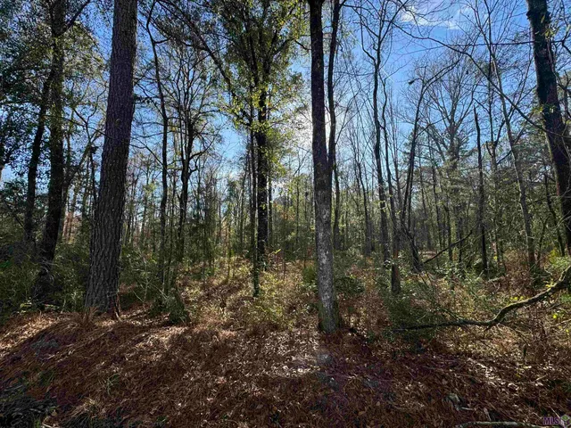 $55,000 | Lot 5 Joe Lee Road, Walker, LA 70785