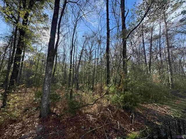 $55,000 | Lot 5 Joe Lee Road, Walker, LA 70785