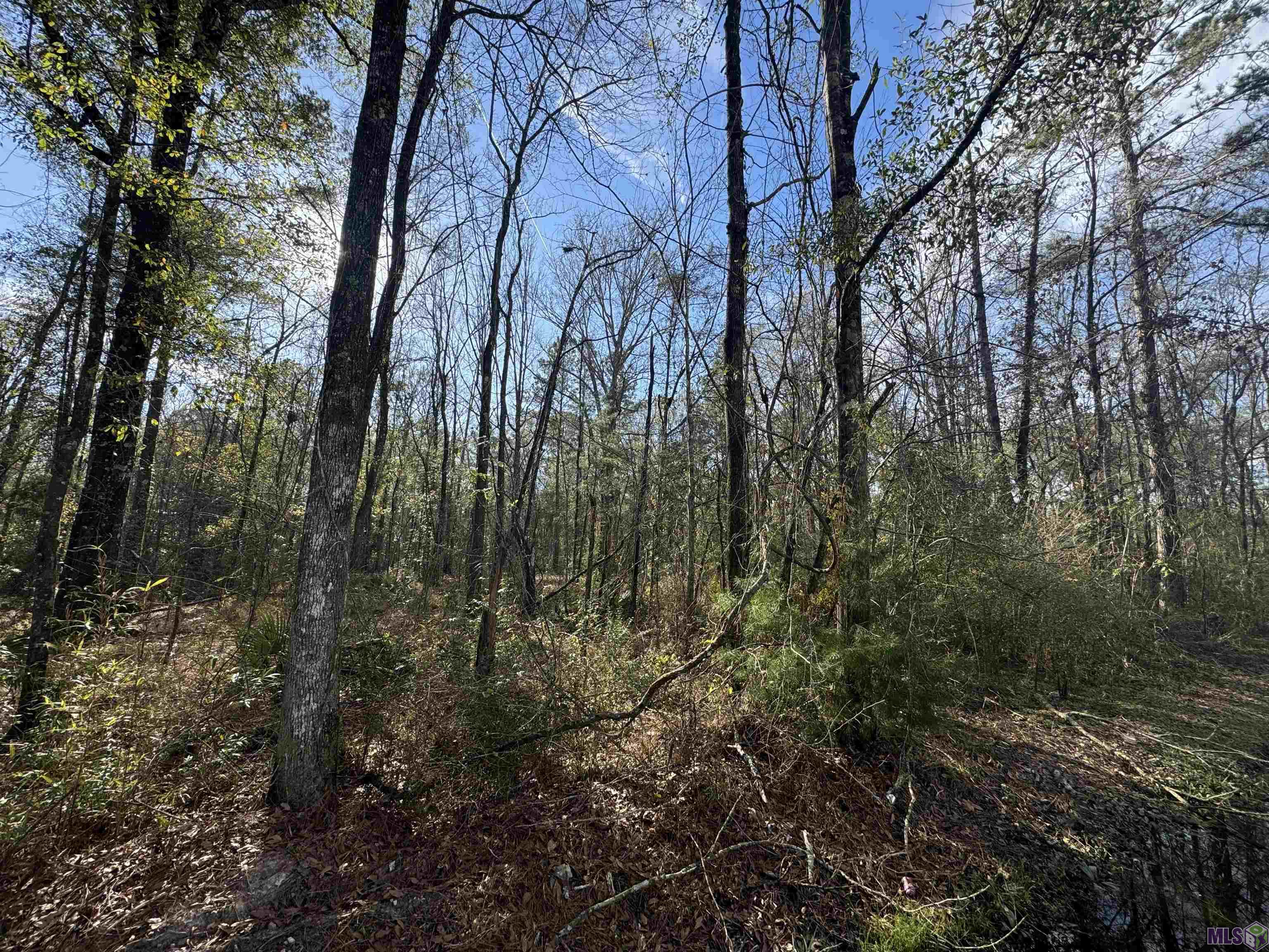 Lot 5 Joe Lee Road Walker, LA 70785 - Photo 3 of 5