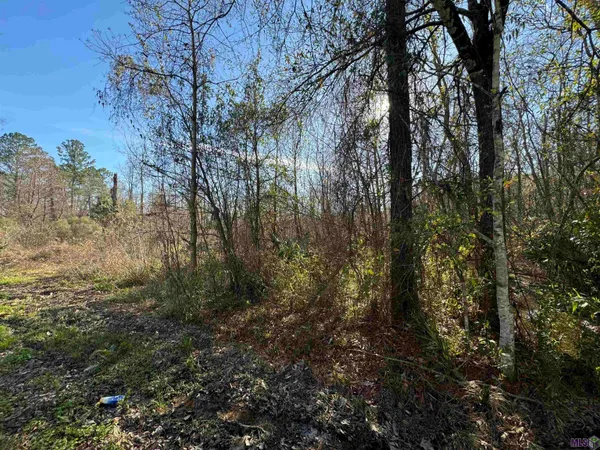 $55,000 | Lot 5 Joe Lee Road, Walker, LA 70785