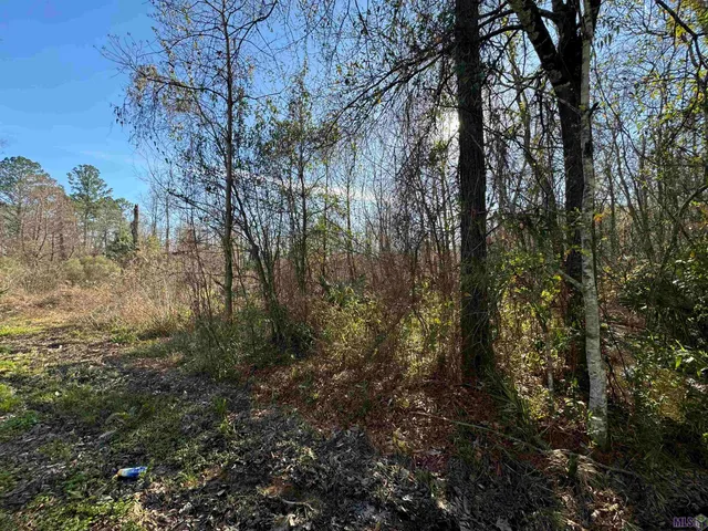 $55,000 | Lot 5 Joe Lee Road, Walker, LA 70785