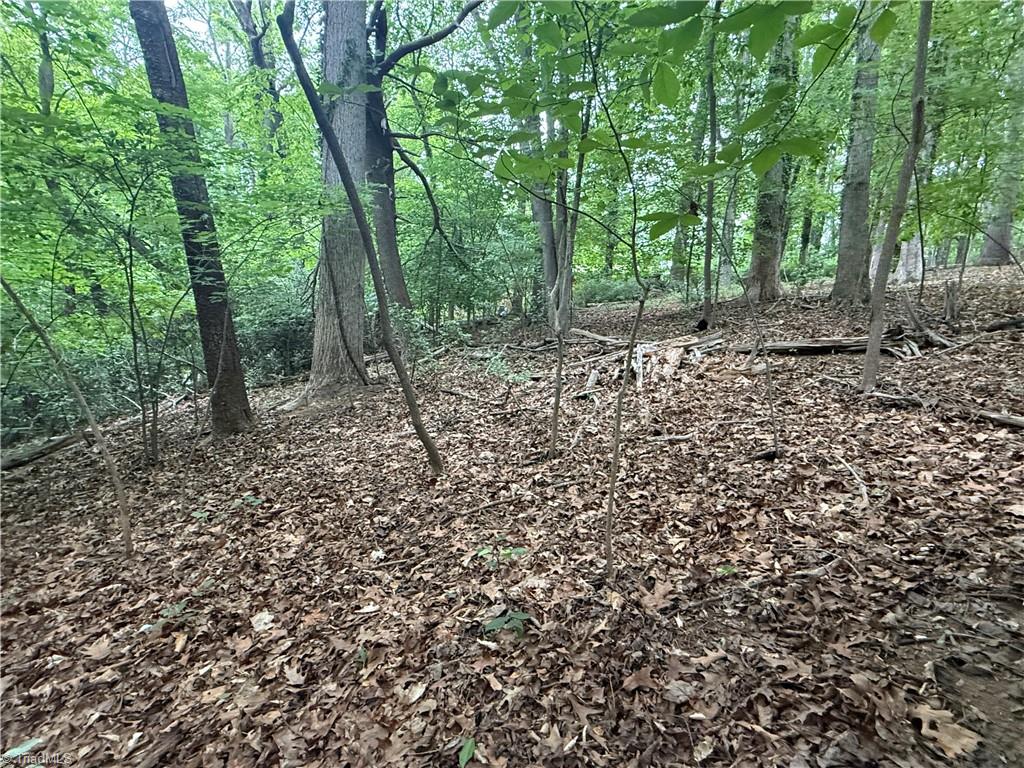 0 Queens Grant Road Winston-Salem, NC 27106 - Photo 2 of 8
