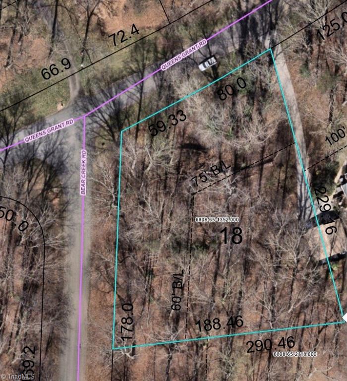 0 Queens Grant Road Winston-Salem, NC 27106 - Photo 3 of 8