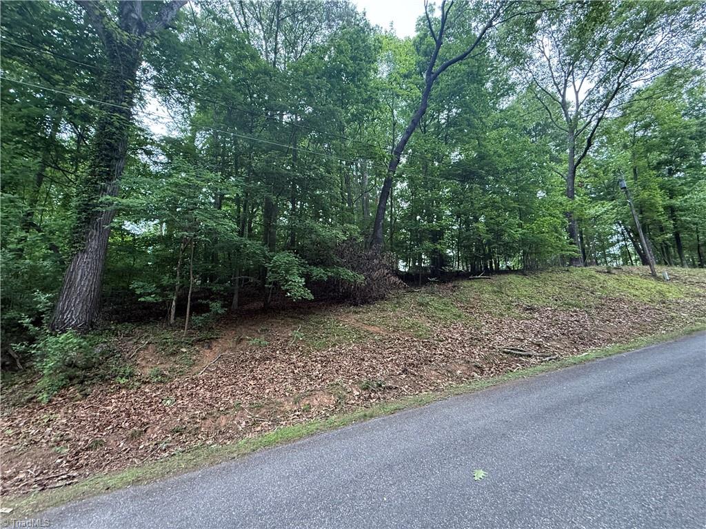 0 Queens Grant Road Winston-Salem, NC 27106 - Photo 8 of 8
