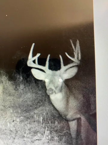 $625,000 | W2723 Highway 18, Helenville, WI 53137