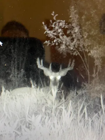 $625,000 | W2723 Highway 18, Helenville, WI 53137