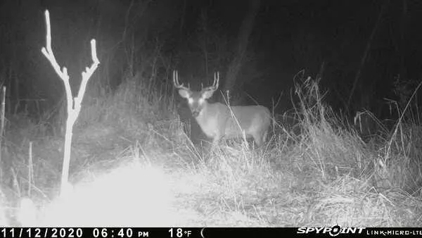 $625,000 | W2723 Highway 18, Helenville, WI 53137