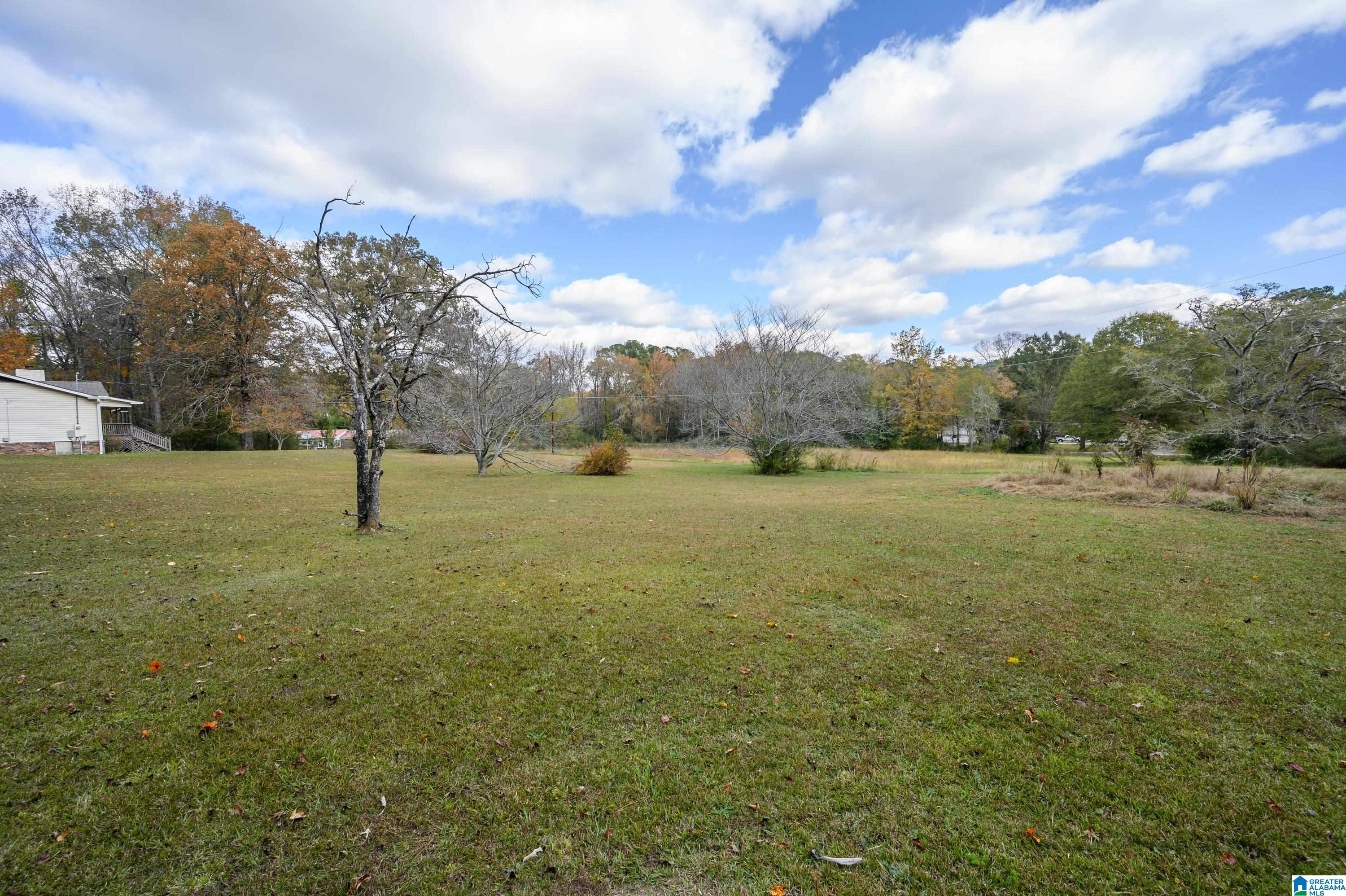 1864 Kelly Loop Road Mount Olive, AL 35117 - Photo 51 of 68