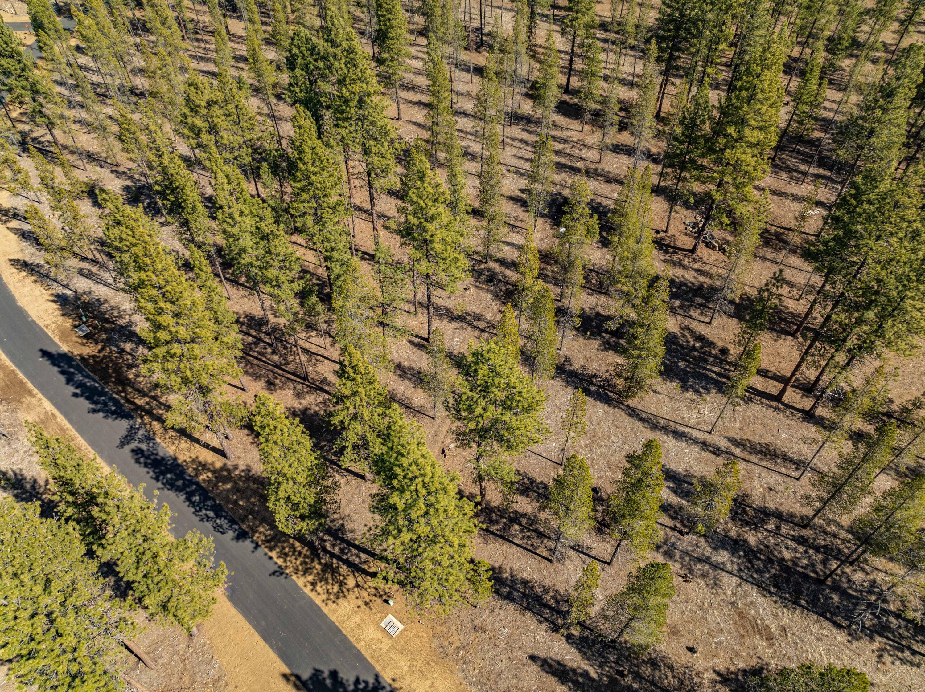 Preservation Loop Bend, Unit 488 Bend, OR 97707 - Photo 9 of 21 DJI_0761-3-HDR