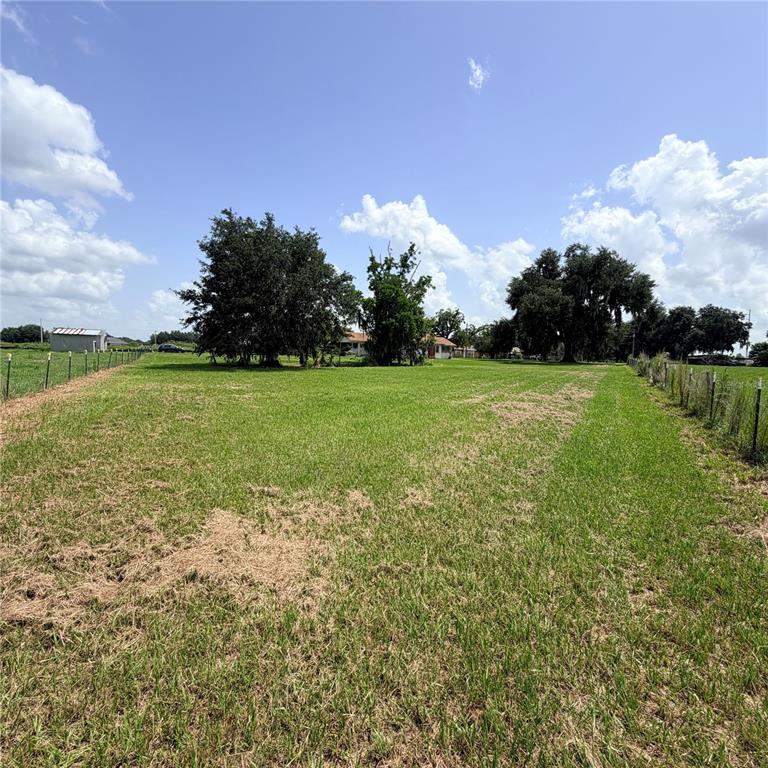 15016 Scant Street Wimauma, FL 33598 - Photo 17 of 26