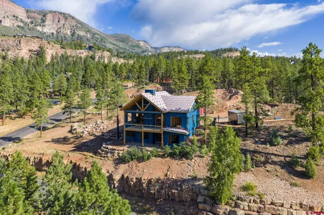 aerial view of a house with a big yard and large trees