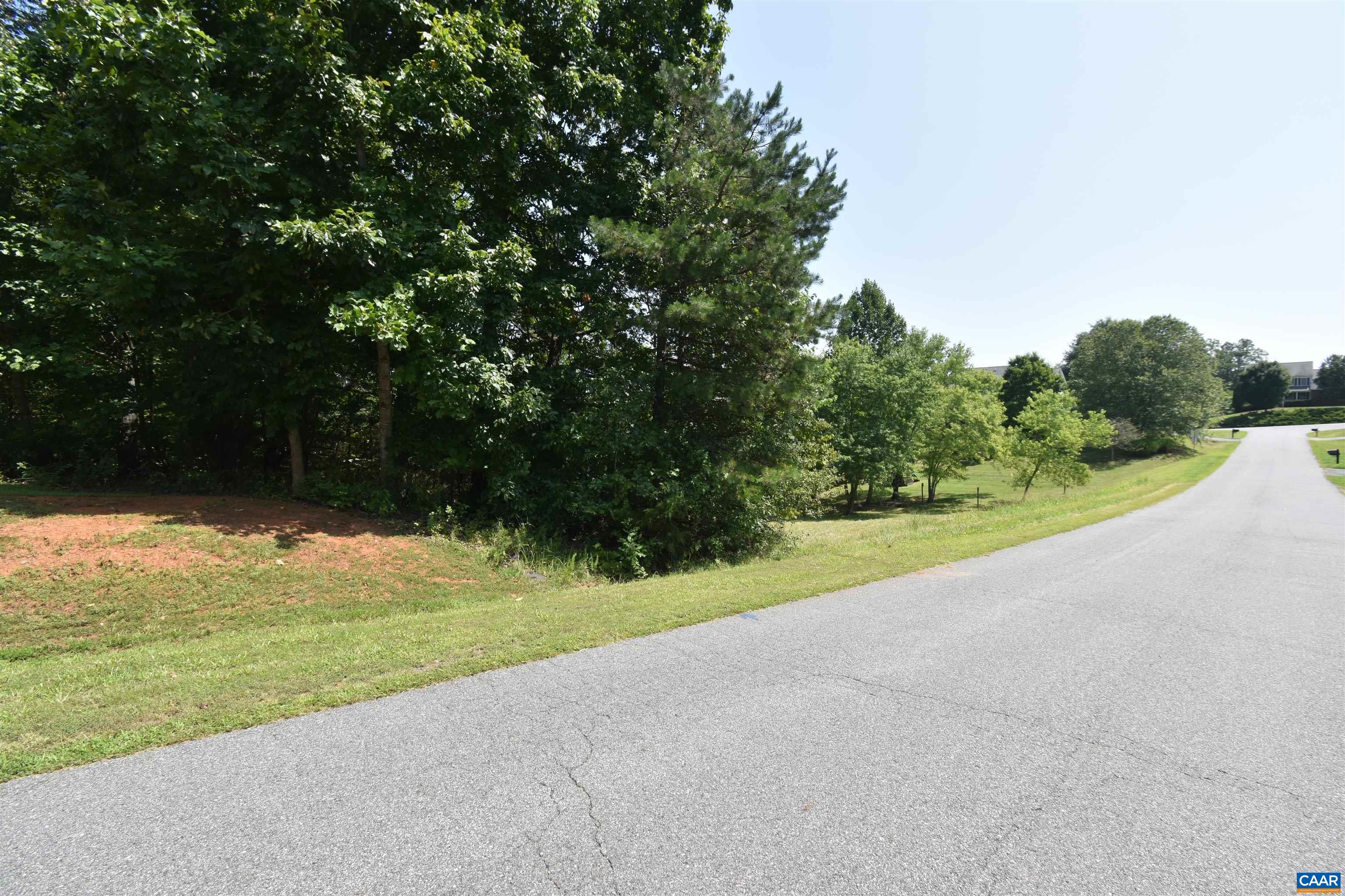 38 Lyon Lane Ruckersville, VA 22968 - Photo 3 of 8 a view of a road with a yard