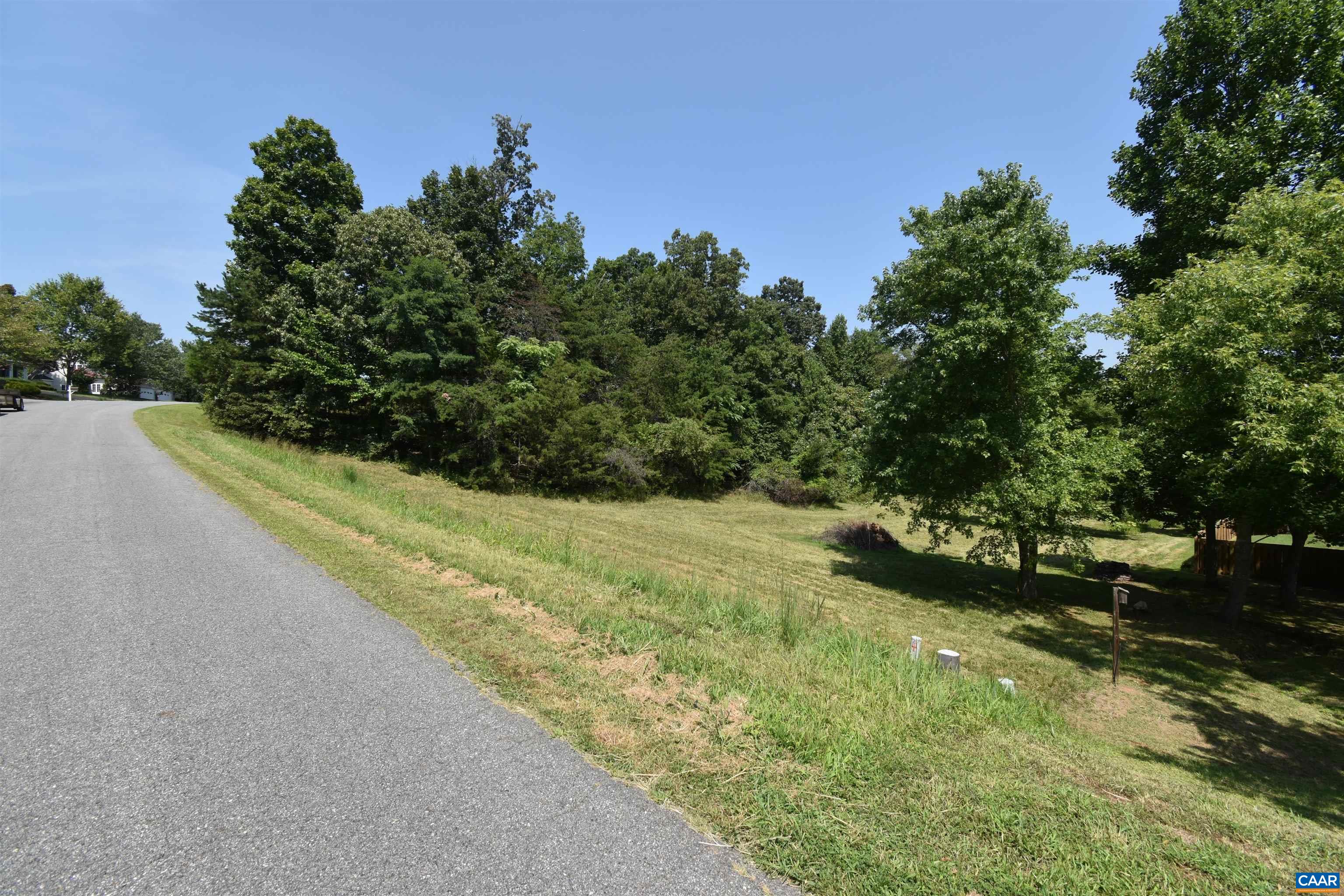 38 Lyon Lane Ruckersville, VA 22968 - Photo 4 of 8 a view of a yard with an trees