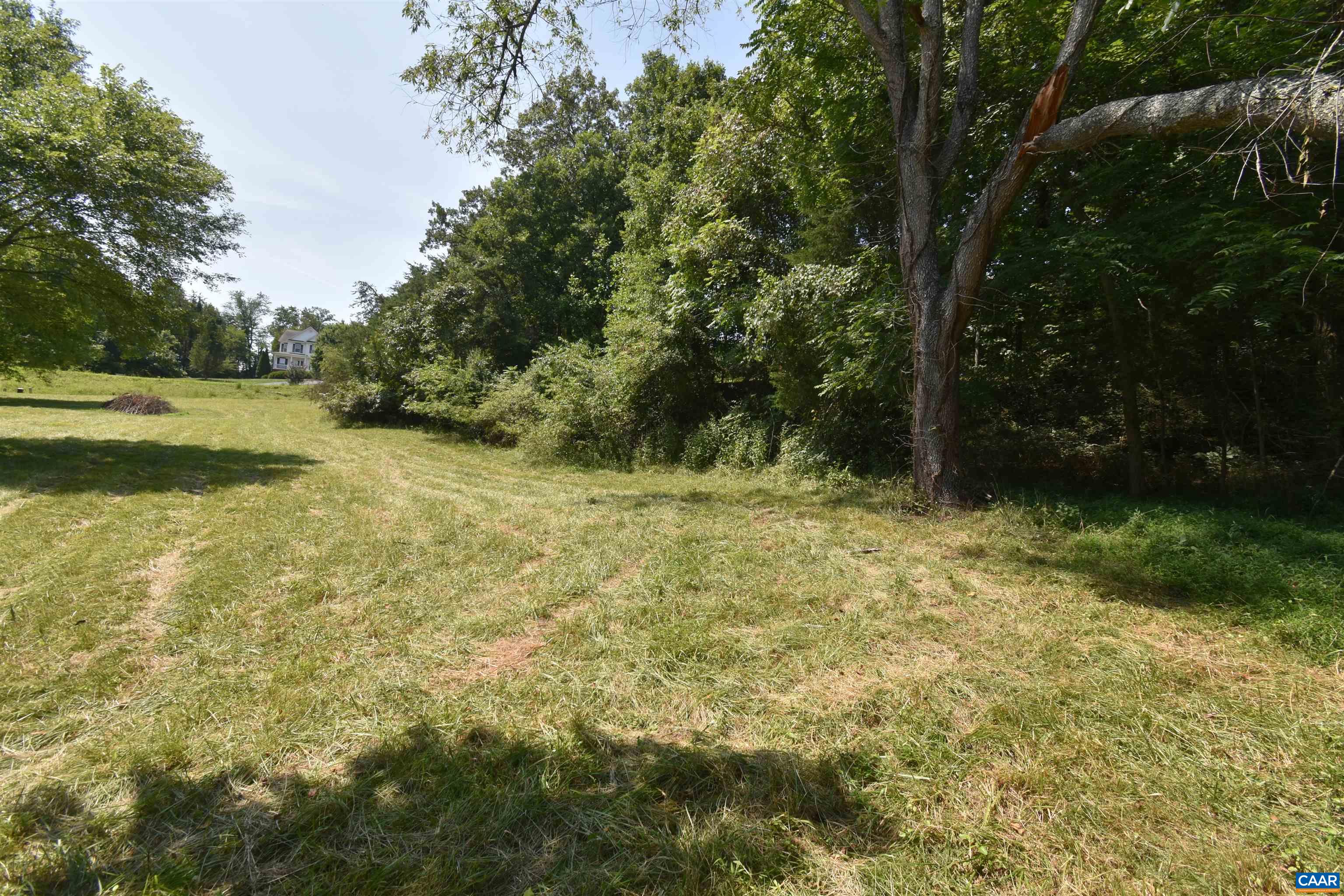 38 Lyon Lane Ruckersville, VA 22968 - Photo 6 of 8 a view of outdoor space and yard