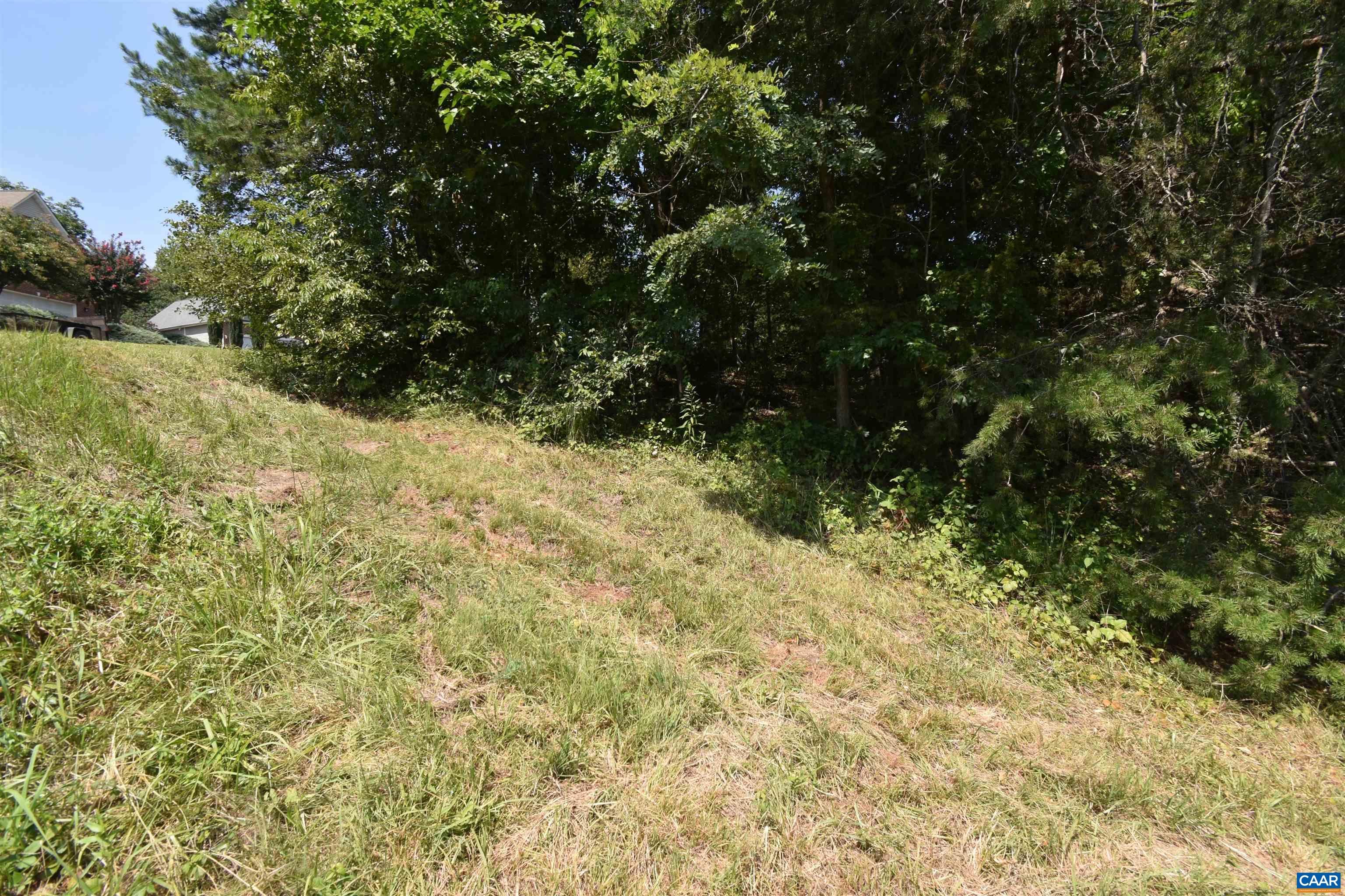38 Lyon Lane Ruckersville, VA 22968 - Photo 7 of 8 a view of a yard with plants and trees