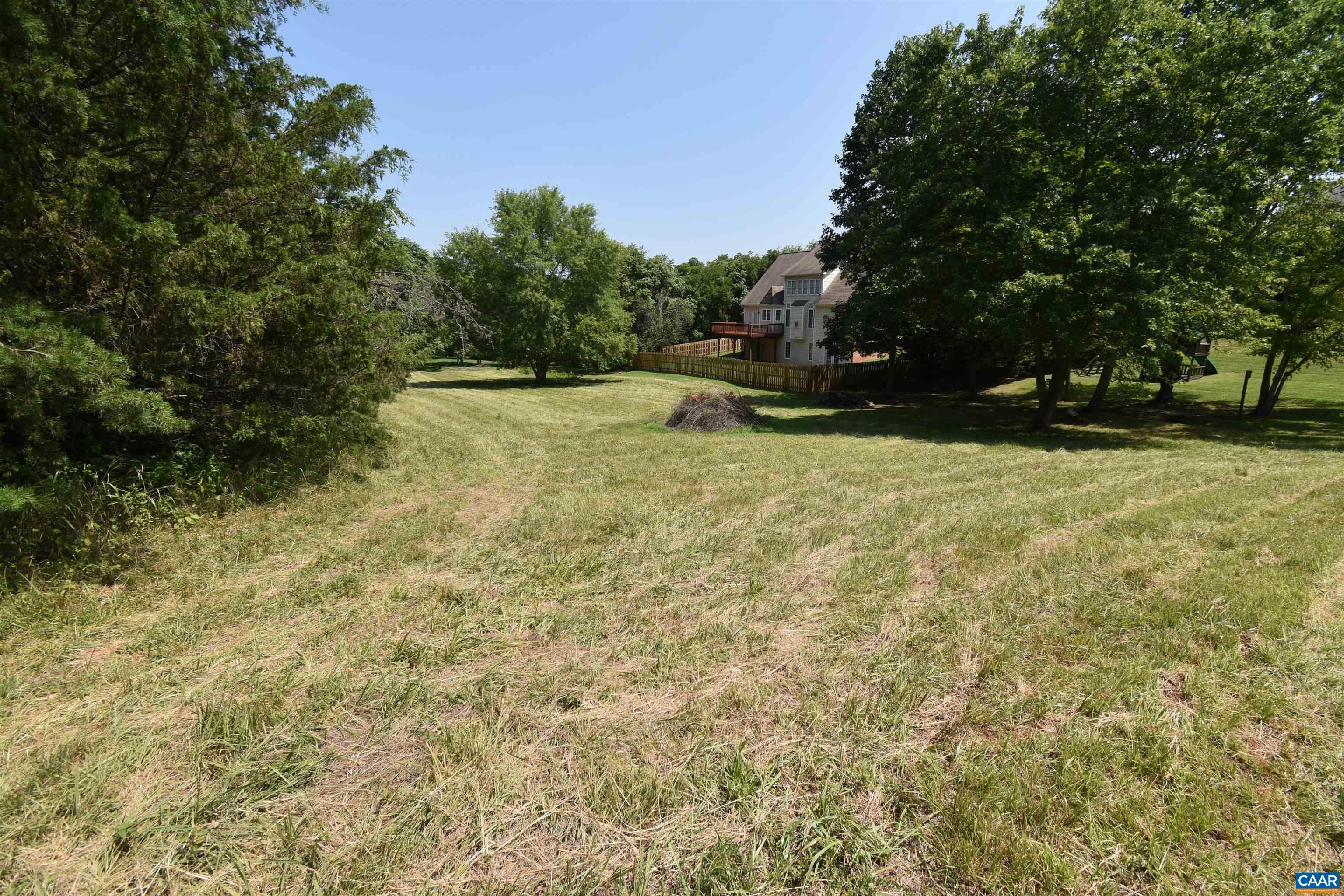 38 Lyon Lane Ruckersville, VA 22968 - Photo 8 of 8 a view of backyard with outdoor space