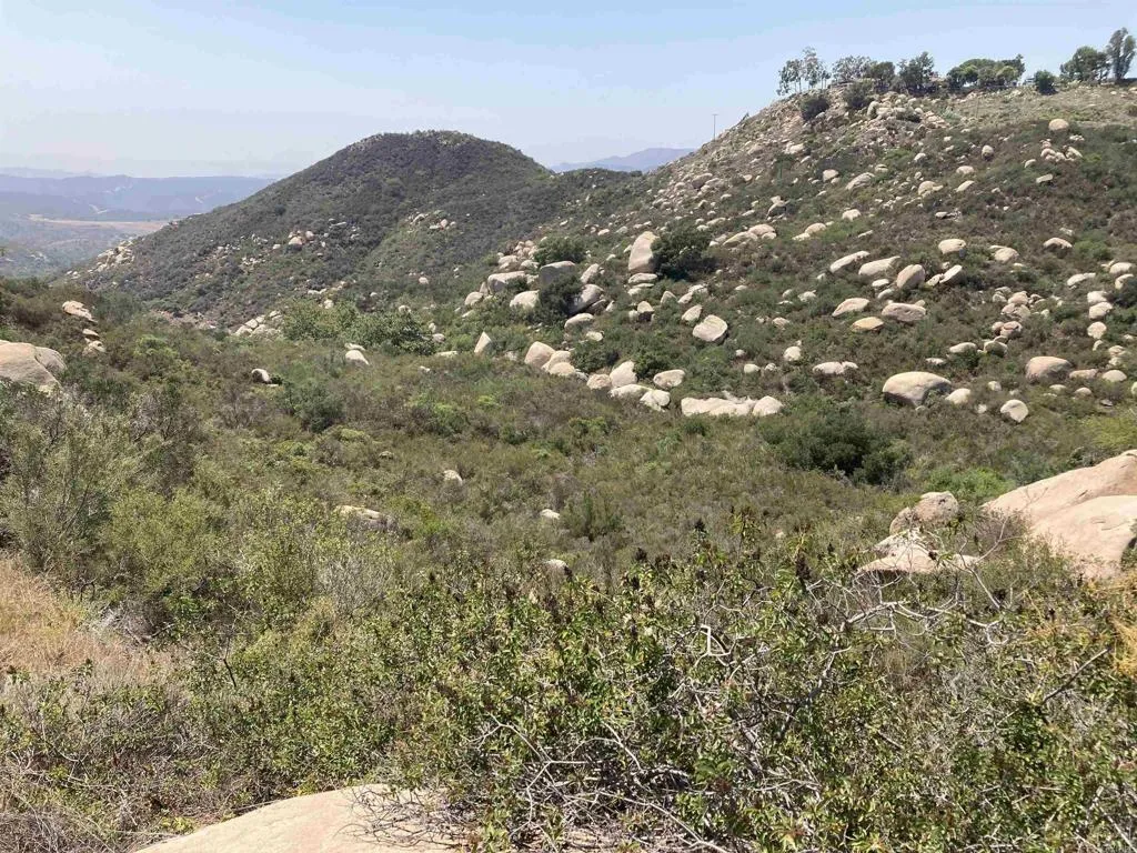 0 Donnil Lane Fallbrook, CA 92028 - Photo 23 of 35 a view of a large tree