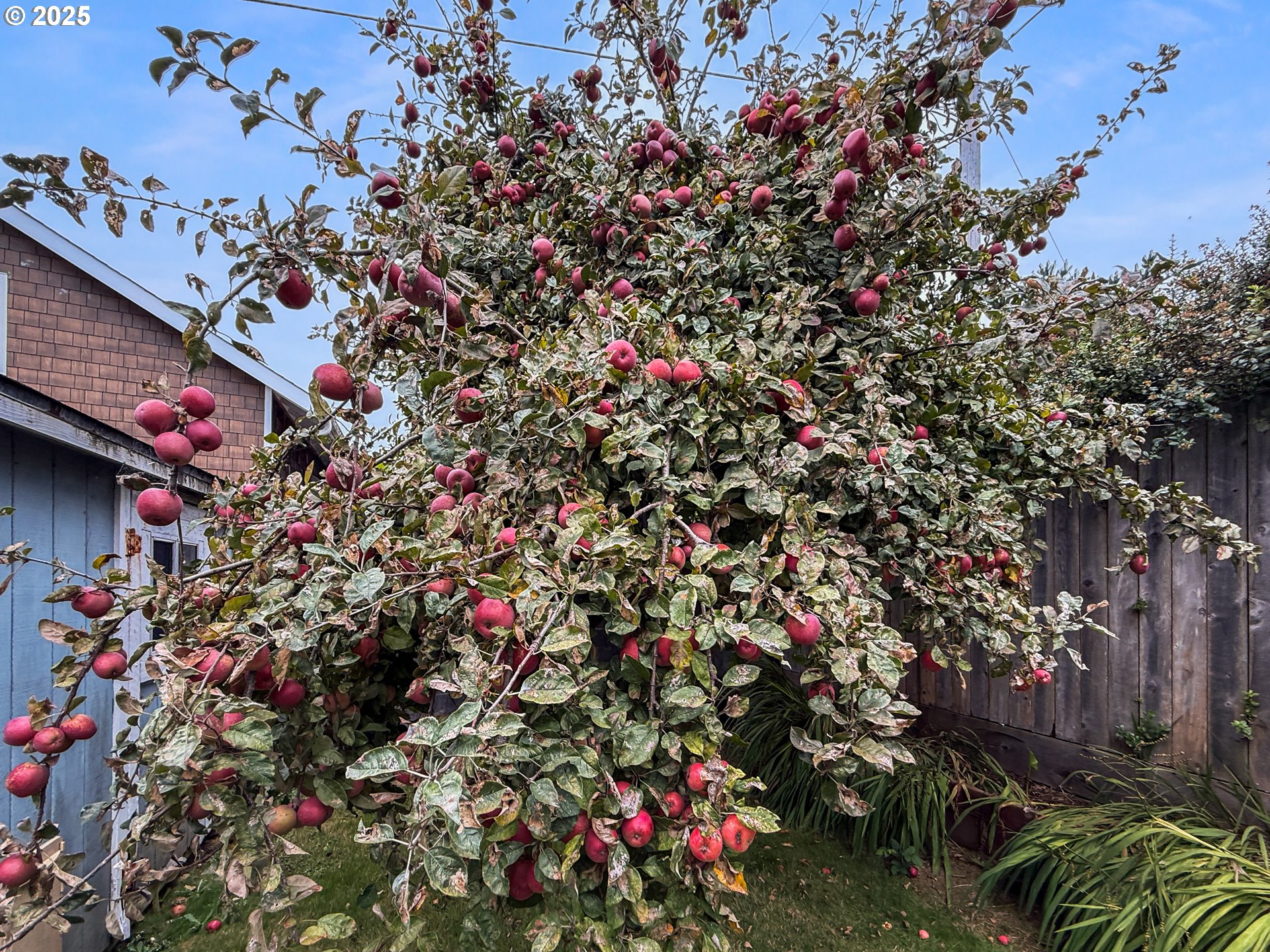 1330 Crissey Circle Brookings, OR 97415 - Photo 37 of 42