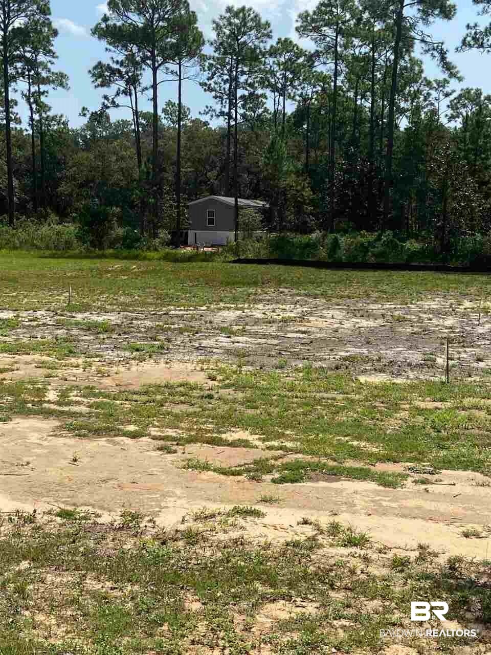 0 Pine Street Elberta, AL 36530 - Photo 3 of 14