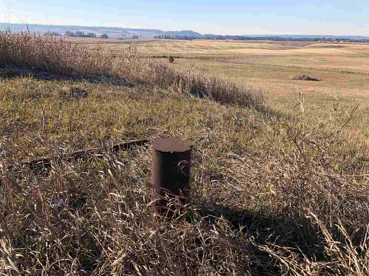 81-xx East Day Road Mead, WA 99021 - Photo 14 of 15