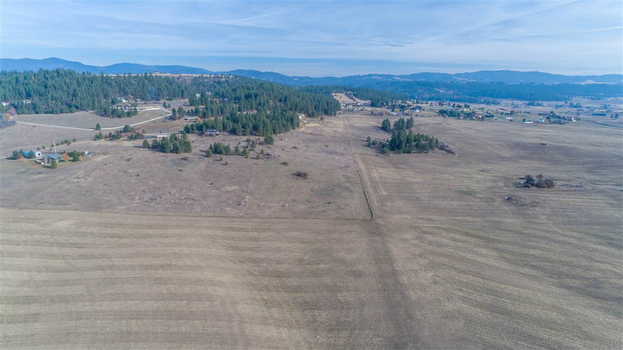 81-xx East Day Road Mead, WA 99021 - Photo 9 of 15