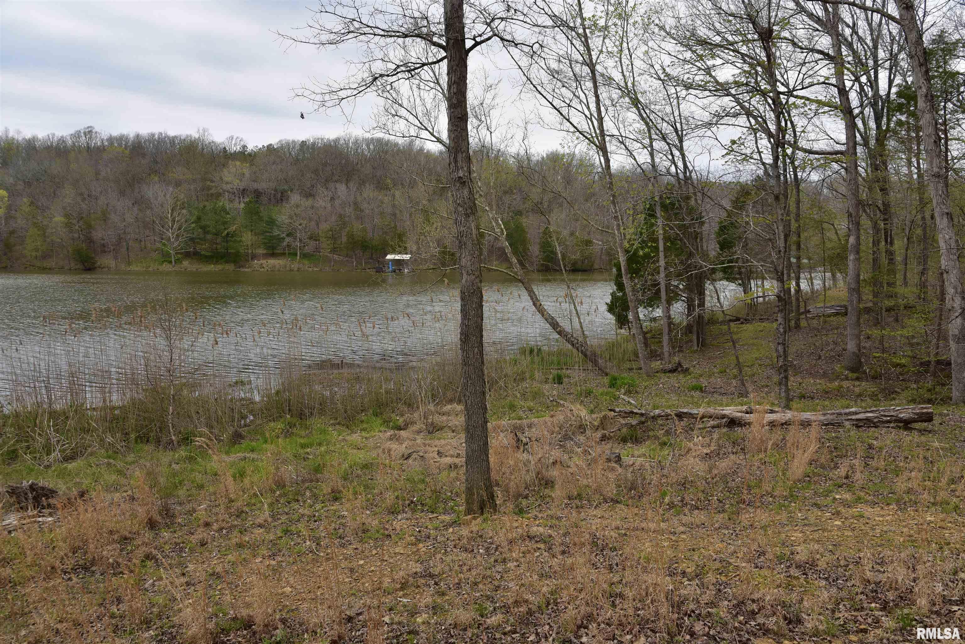 0 Parrish Ridge Lane Goreville, IL 62939 - Photo 14 of 26
