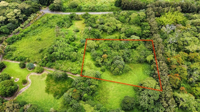 2 Opihikau Road Pahoa, HI 96778 - Photo 4 of 16