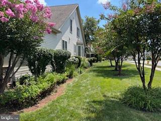 6159 Ferrier Court Gainesville, VA 20155 - Photo 57 of 74 Gorgeous Flowers!