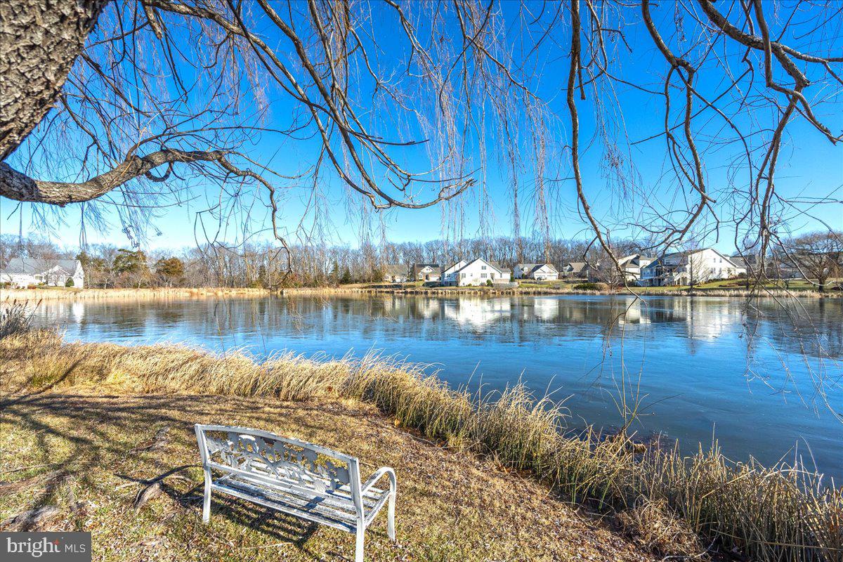 6159 Ferrier Court Gainesville, VA 20155 - Photo 62 of 74 Beautiful Place to Relax