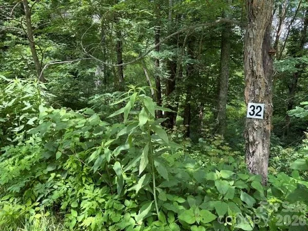 $72,761 | Lot 32 Toi Trail, Unit 32, Maggie Valley, NC 28751