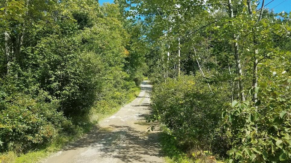 1479 Hudson Road Glenburn, ME 04401 - Photo 16 of 68 Driveway